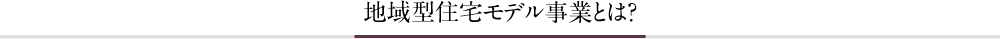 地域型住宅モデル事業とは？