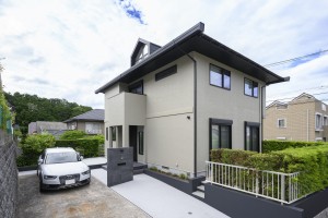 hl_umi_042